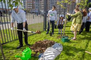 В Одинцовском округе 1 сентября дали старт региональной экологической акции «День в лесу. Сохраним лес вместе»: 14 молодых кленов и 13 черемух высадили в грунт на территории новой школы на 1100 мест, открывшейся в День знаний в звенигородском микрорайоне Восточный