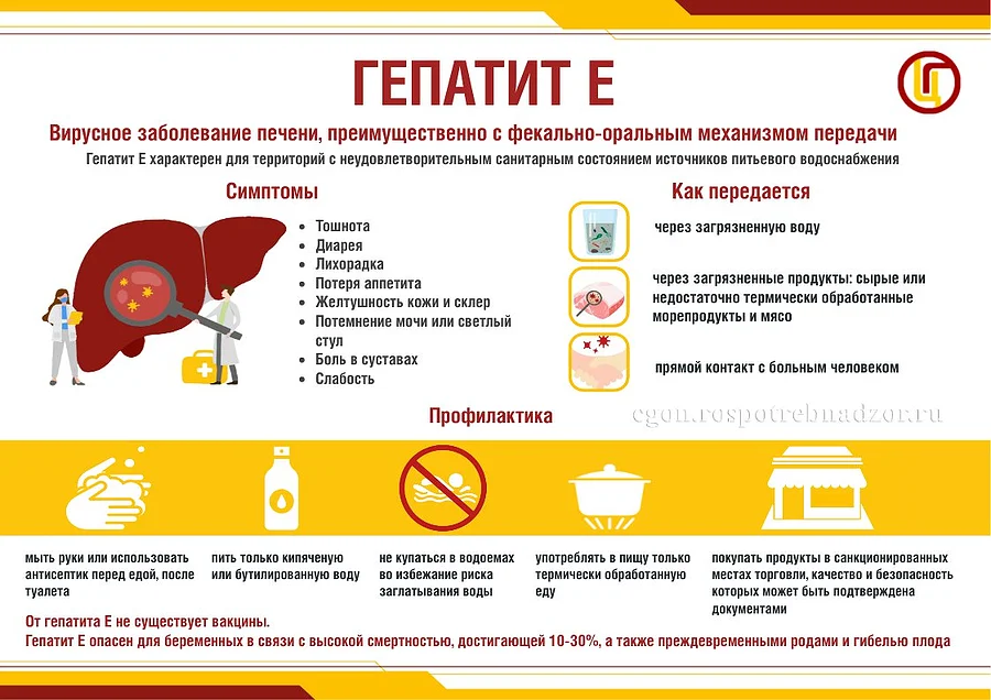 Роспотребнадзор информирует о мерах профилактики гепатита, Роспотребнадзор информирует о мерах профилактики гепатита
