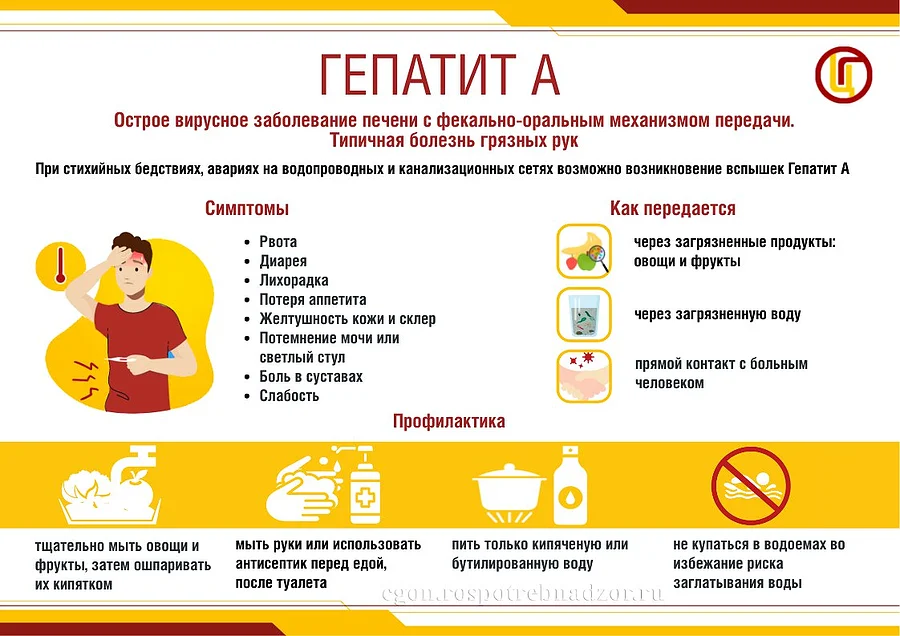 Роспотребнадзор информирует о мерах профилактики гепатита, Роспотребнадзор информирует о мерах профилактики гепатита