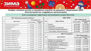 Подготовку к заливке катков и зимнюю программу в парках обсудили в четверг, 20 ноября, на рабочем совещании главы Одинцовского округа Андрея Иванова