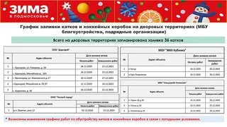 Подготовку к заливке катков и зимнюю программу в парках обсудили в четверг, 20 ноября, на рабочем совещании главы Одинцовского округа Андрея Иванова