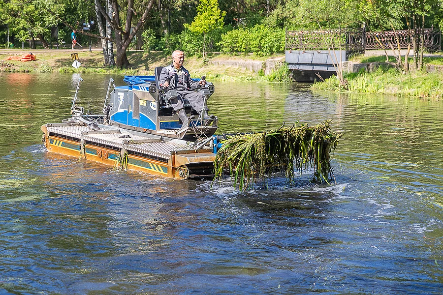 Пруды текст 1, Ноябрь