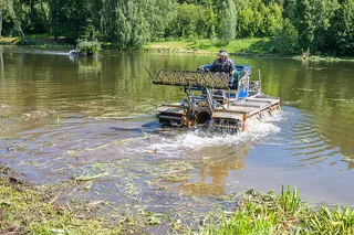 Одиннадцать водоёмов Одинцовского округа участвуют в голосовании по программе «100 прудов и озёр»