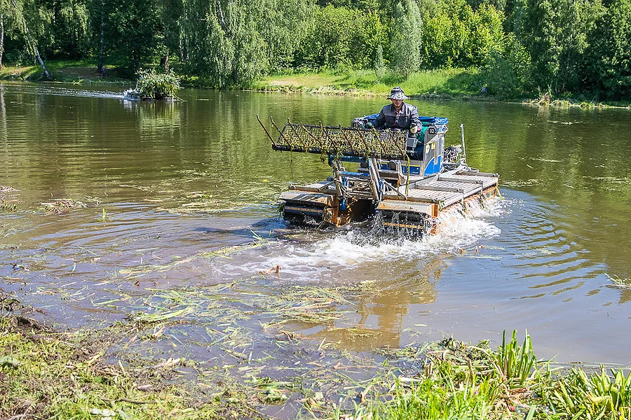 Пруды текст 2, Ноябрь