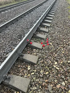 В 2025 году на объектах железнодорожного транспорта в муниципалитете отмечается двукратный рост числа погибших — 16 человек. За аналогичный период прошлого года на территории округа погибли 8 человек