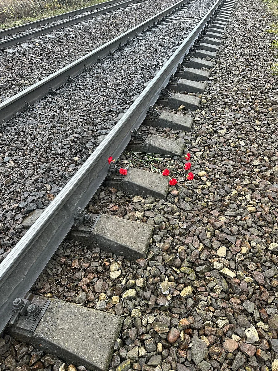 ЖД текст 2, Ноябрь