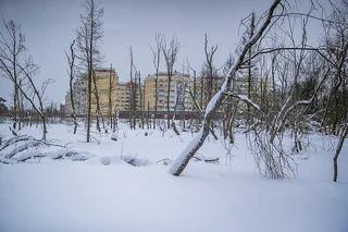 В звенигородском жилом комплексе «Ракитня» завершается обустройство перекачной станции на дамбе