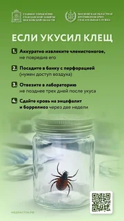 Одинцовский территориальный отдел Управления Федеральной службы по надзору в сфере защиты прав потребителей и благополучия человека по Московской области проинформировал жителей округа о начале сезонной активности клещей