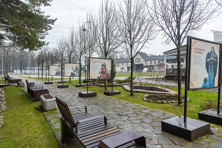 Лес текст 2, Восстановление лесов: как за 10 лет изменилась Олимпийская аллея в Одинцовском парке культуры, спорта и отдыха