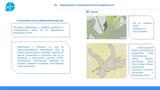 Роскадастр предоставляет гражданам информационную поддержку и оказывает консалтинговые услуги