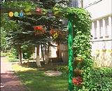 17.07.2007 г.